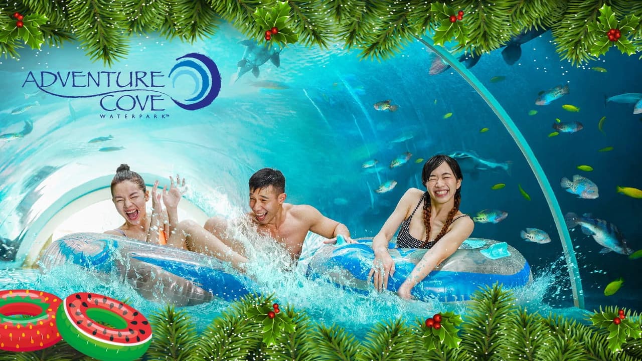 COMBO: Adventure Cove Waterpark + Gardens by the Bay Ticket - Photo 3