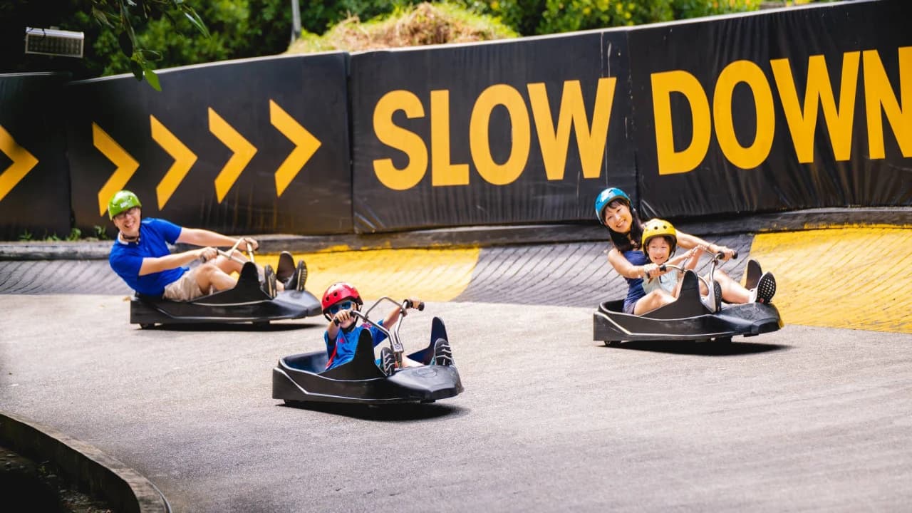 COMBO: Skyline Luge Singapore + Gardens by the Bay Ticket - image 7