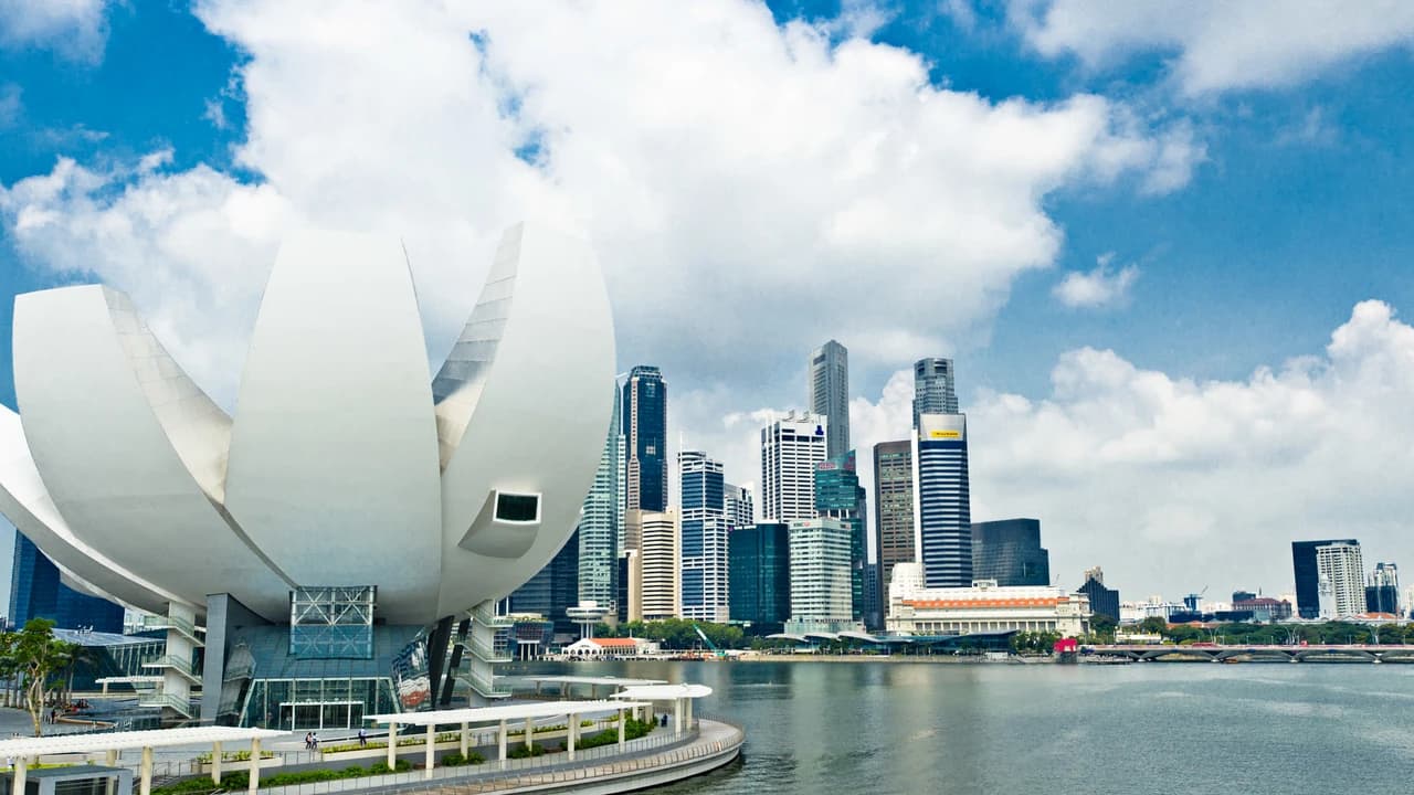 COMBO: Gardens by the Bay + Marina Bay Sands SkyPark Observation Deck + ArtScience Museum Tickets - image 6