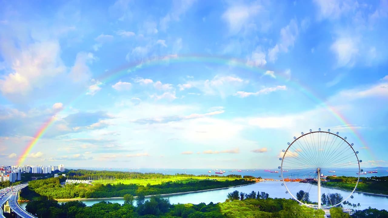 COMBO: Singapore Flyer + Gardens by the Bay Ticket - Photo 1
