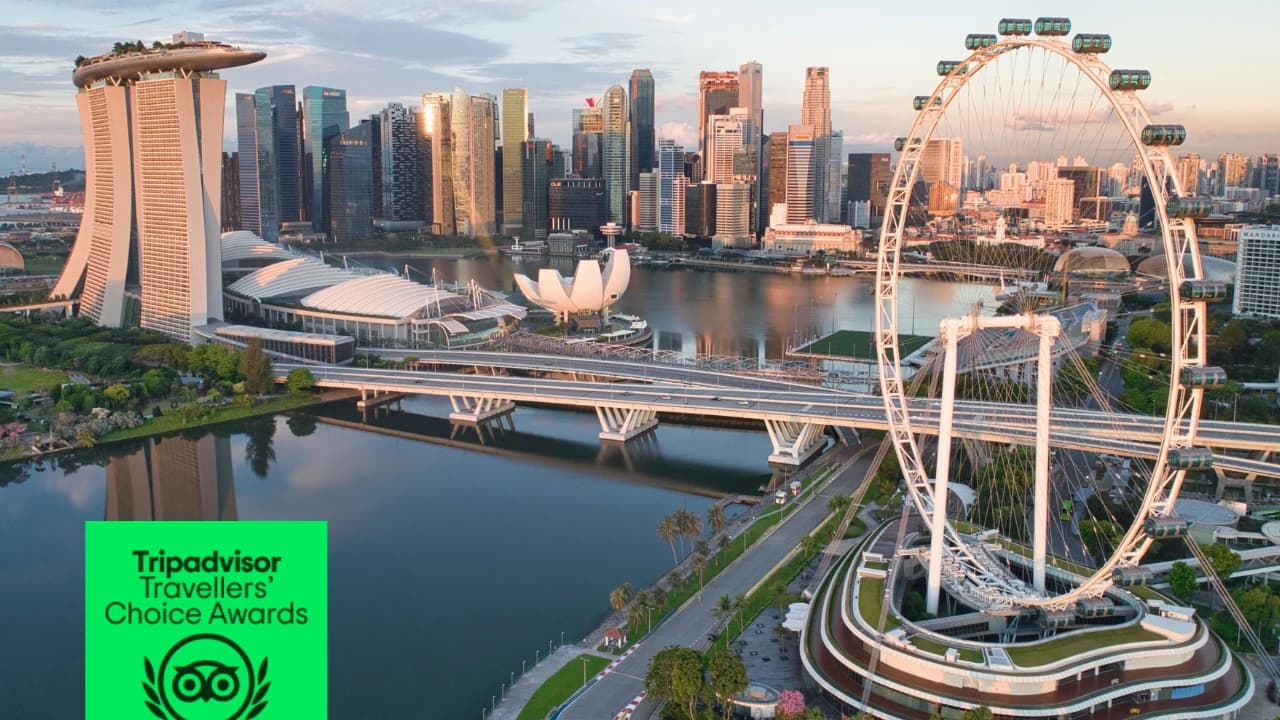 COMBO: Singapore Flyer + Gardens by the Bay Ticket - Photo 2