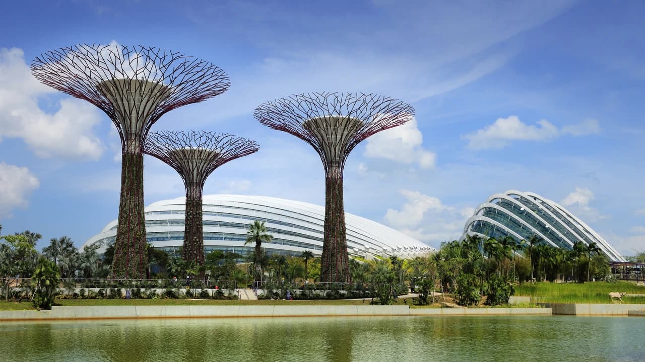 COMBO: Singapore Flyer + Gardens by the Bay Ticket - image 6