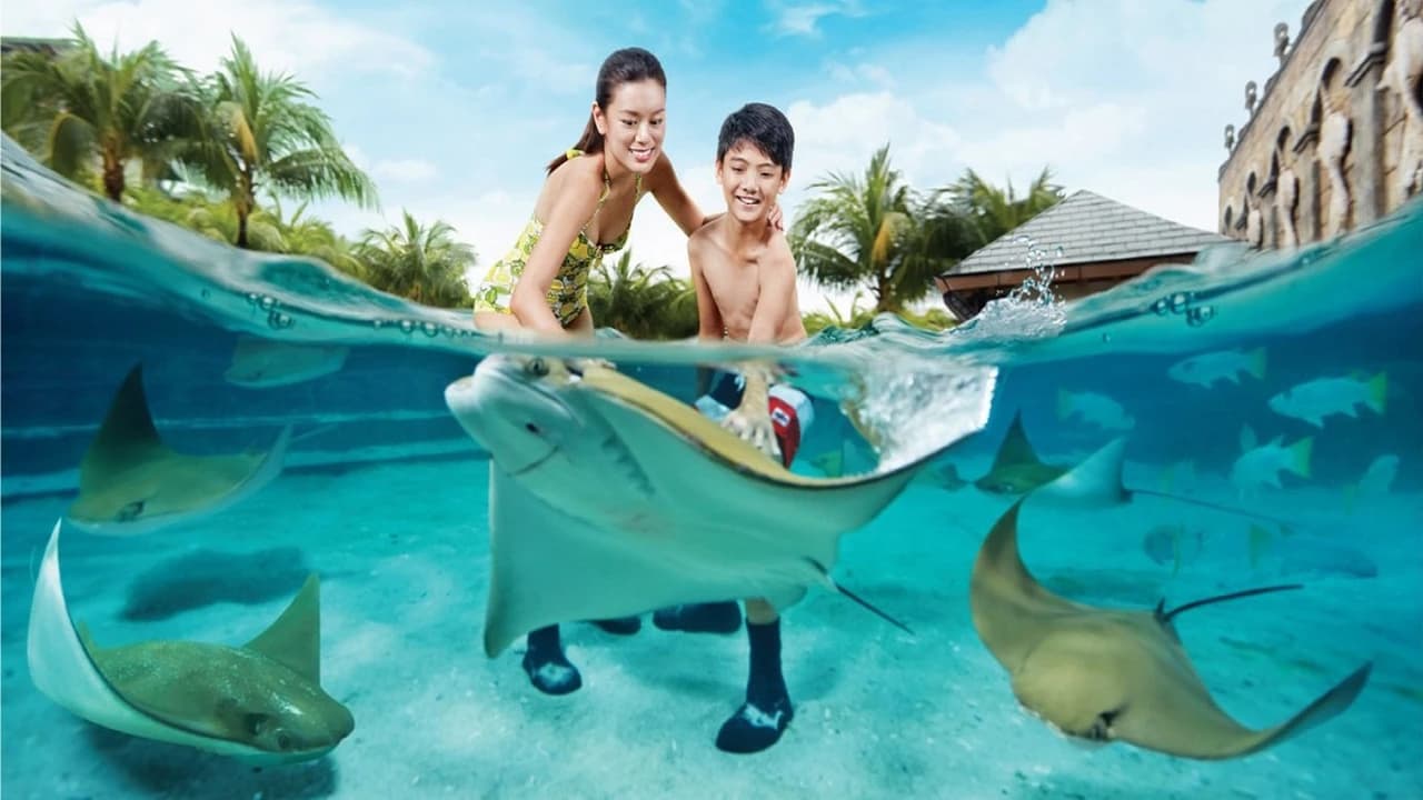 Ultimate Marine Life Experience at Adventure Cove Waterpark - Photo 1