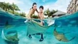 Ultimate Marine Life Experience at Adventure Cove Waterpark - image 8