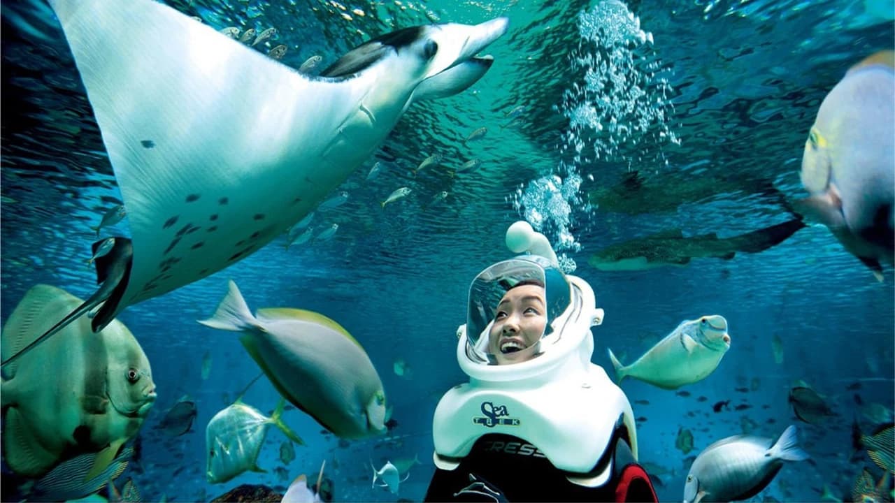 Ultimate Marine Life Experience at Adventure Cove Waterpark - Photo 2