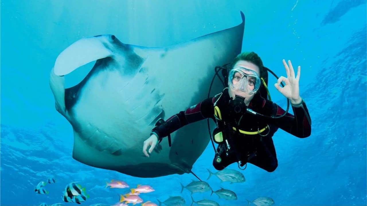Ultimate Marine Life Experience at Adventure Cove Waterpark - Photo 3