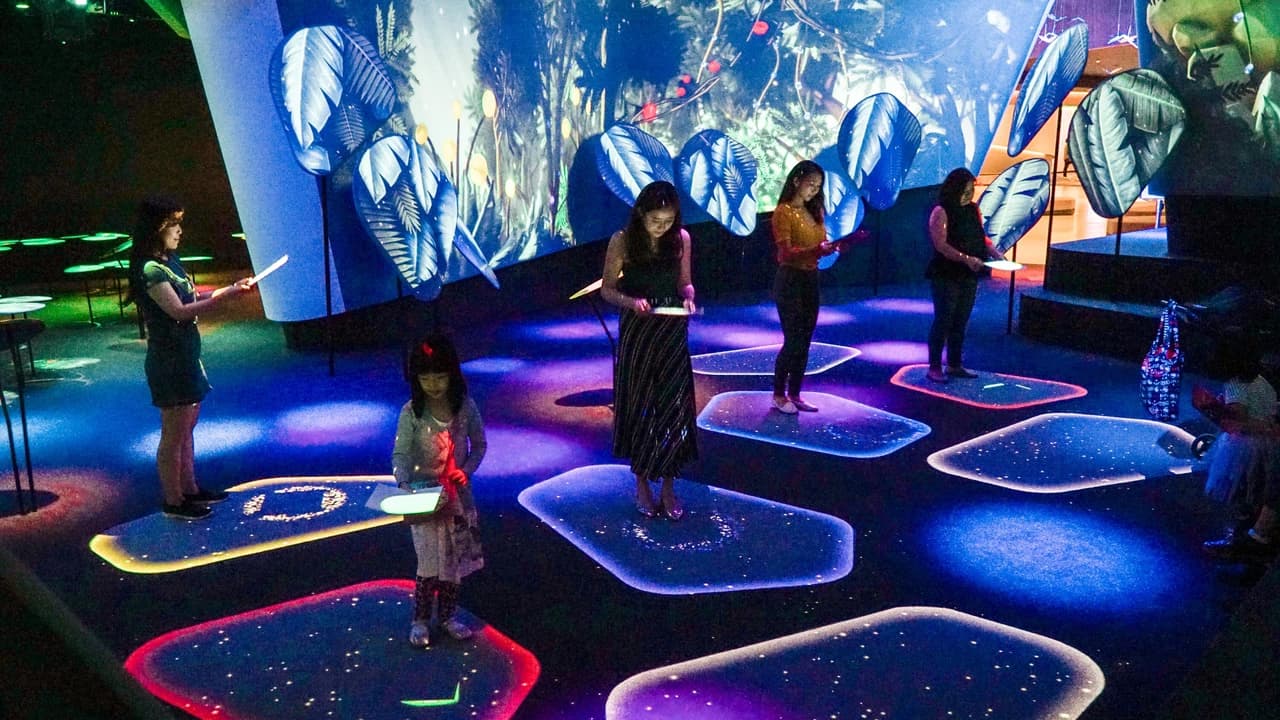 Changi Experience Studio - image 6