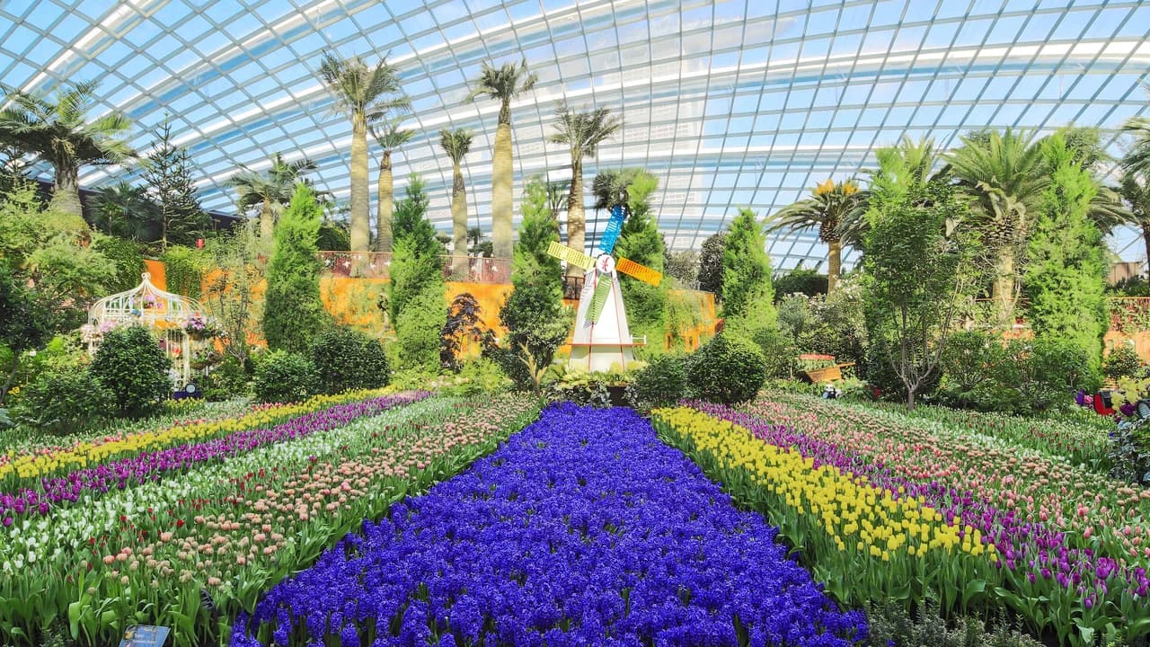 COMBO: Singapore Cable Car + Gardens by the Bay Ticket - image 8
