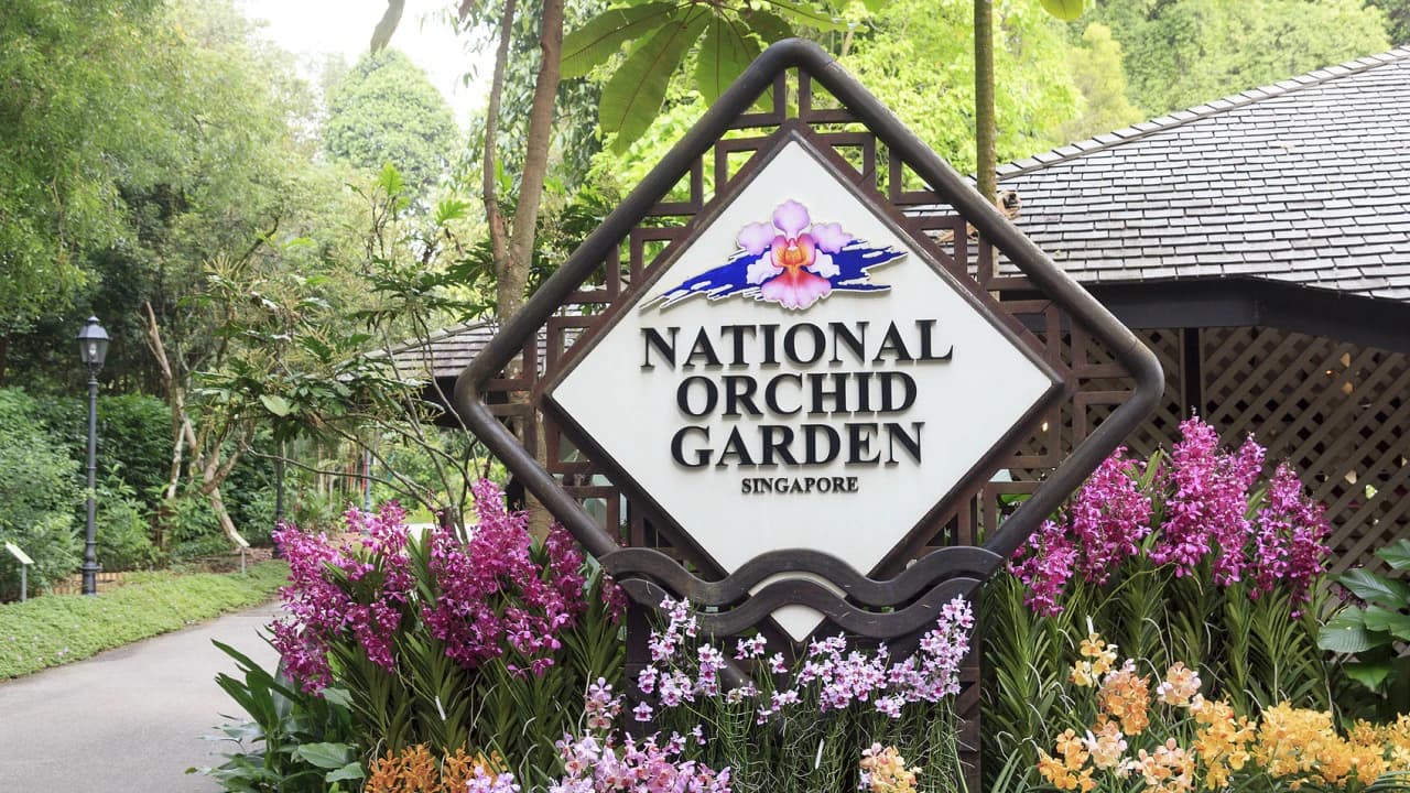 COMBO: Gardens by the Bay - Floral Fantasy + National Orchid Garden - Photo 2