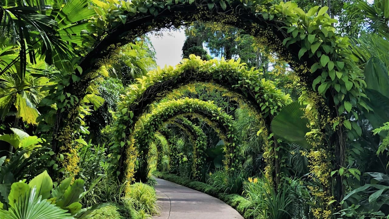 COMBO: Gardens by the Bay - Floral Fantasy + National Orchid Garden - image 7