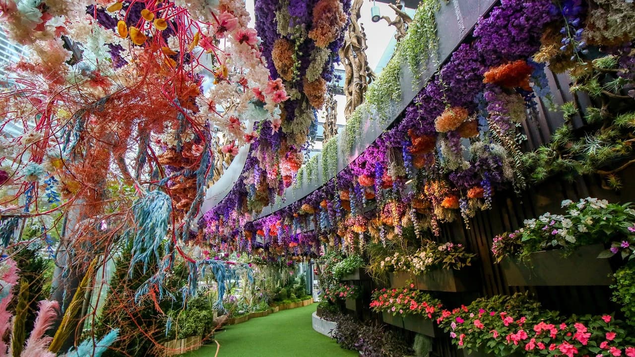 COMBO: Gardens by the Bay - Floral Fantasy + National Orchid Garden - image 8