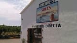 Solés Anchovy Factory-Museum Ticket - image 7