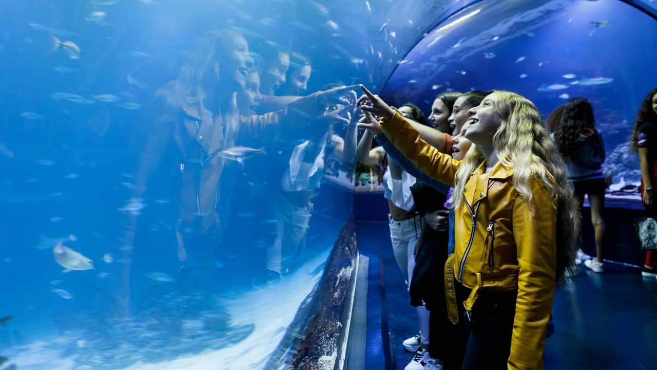 Atlantis Aquarium Madrid Ticket - Photo 1