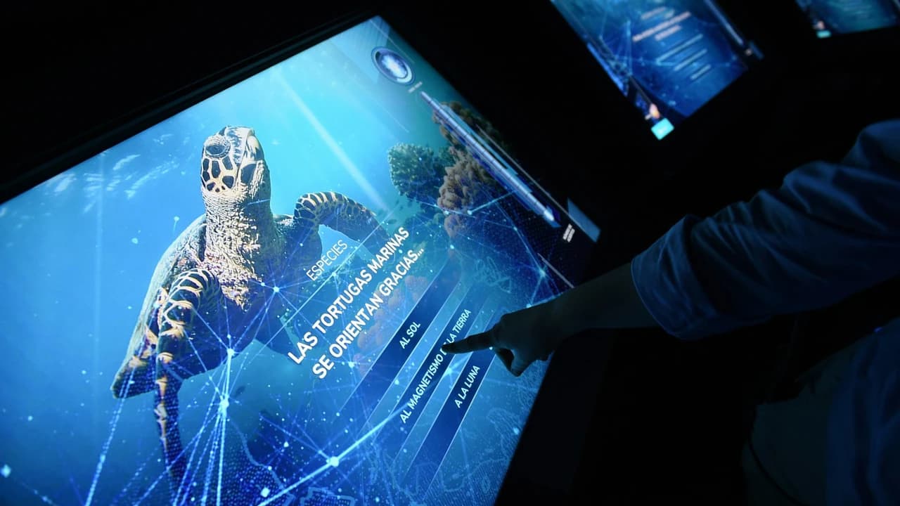 Atlantis Aquarium Madrid Ticket - image 7