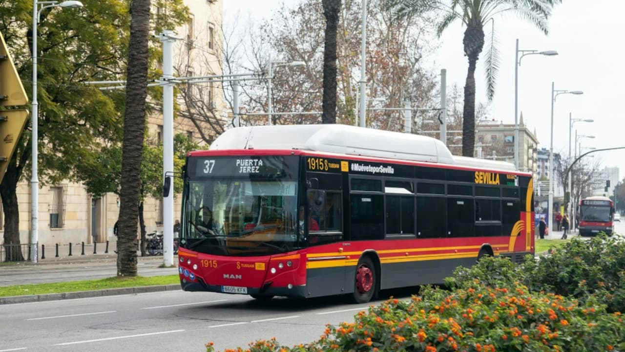 Seville: Airport Transfer Ticket to City Center - image 8
