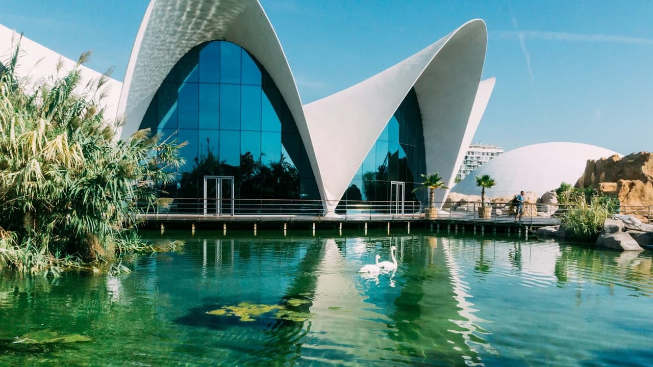 Oceanogràfic de Valencia Ticket - Photo 1