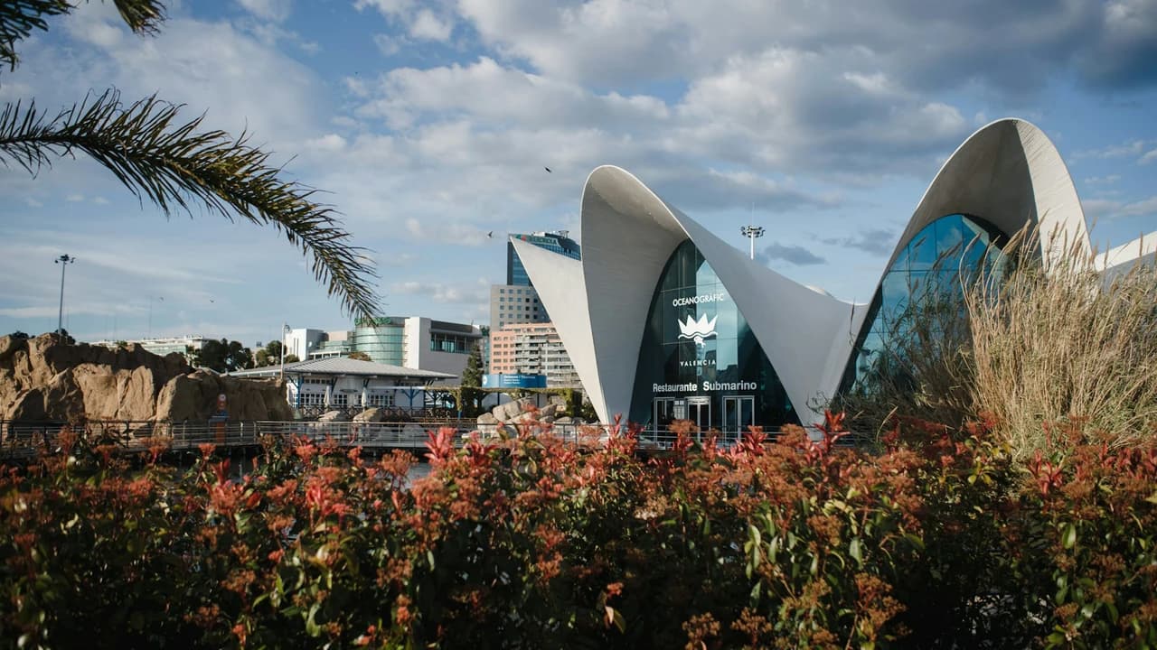 Oceanogràfic de Valencia Ticket - image 7