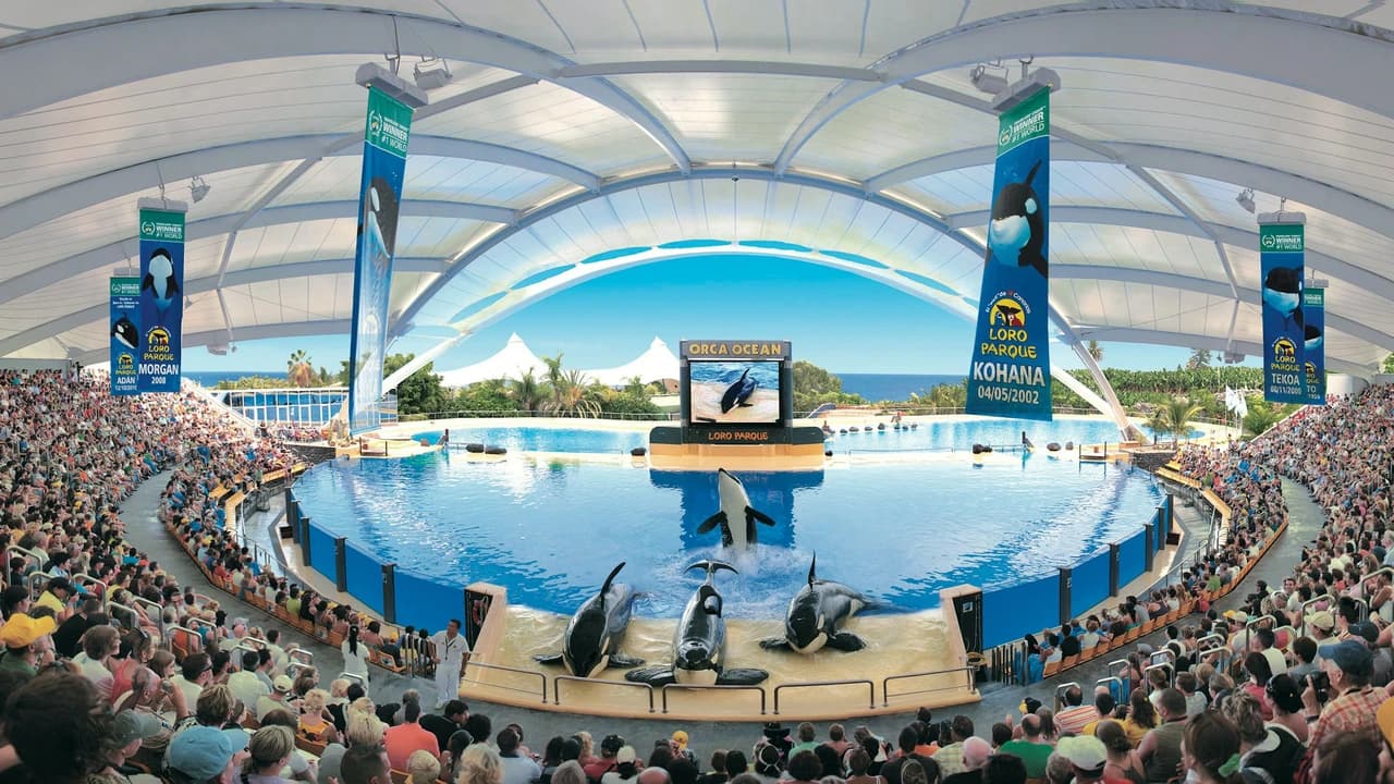 Loro Parque Ticket - Photo 3