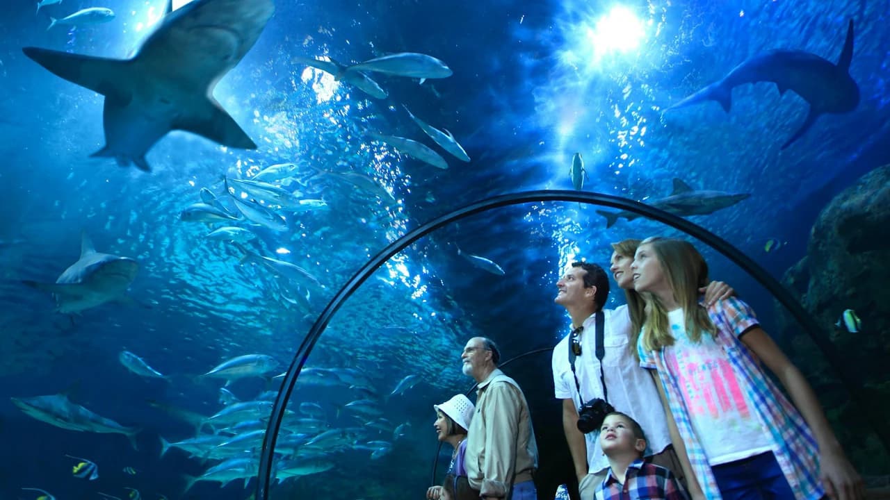Loro Parque Ticket - Photo 4