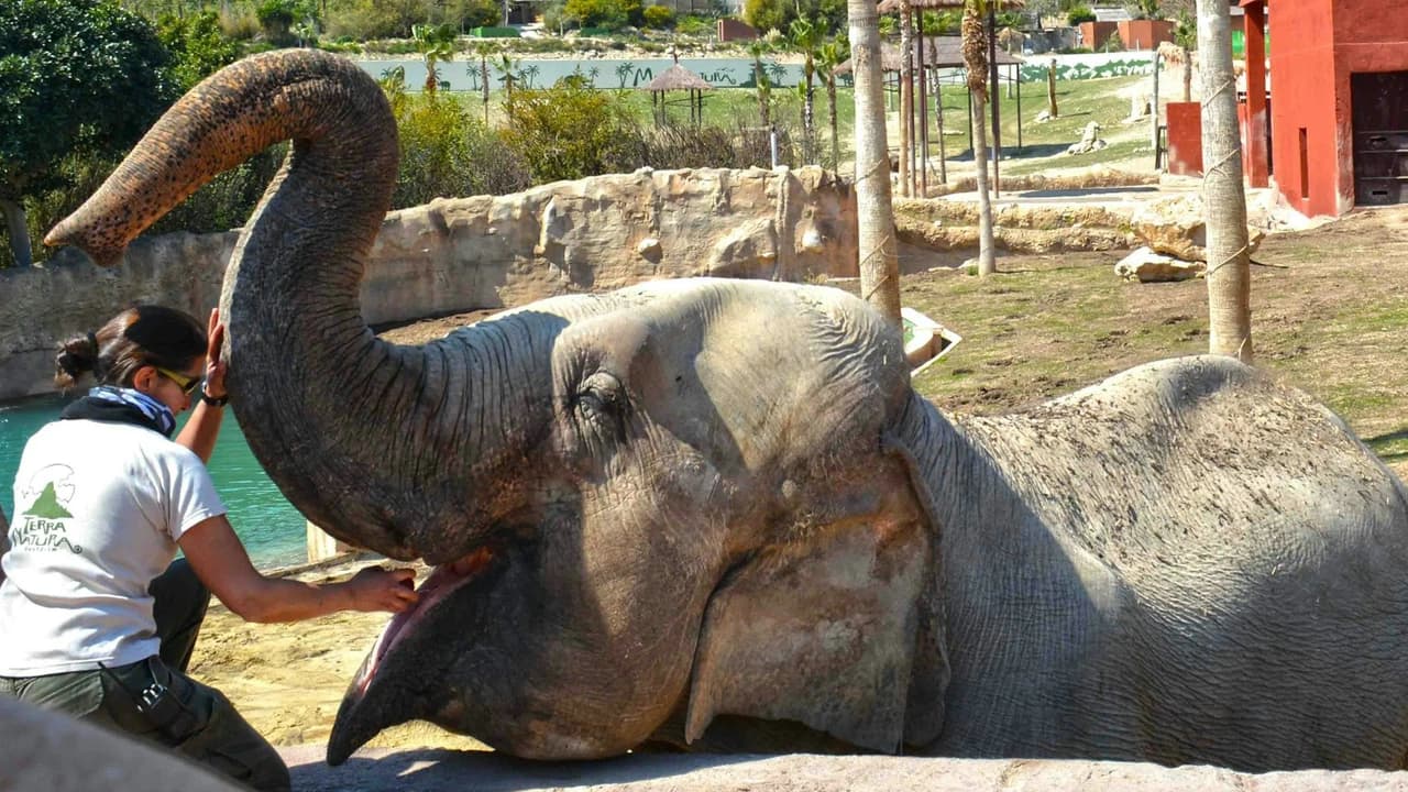 Terra Natura Benidorm: Entry Ticket - Photo 2