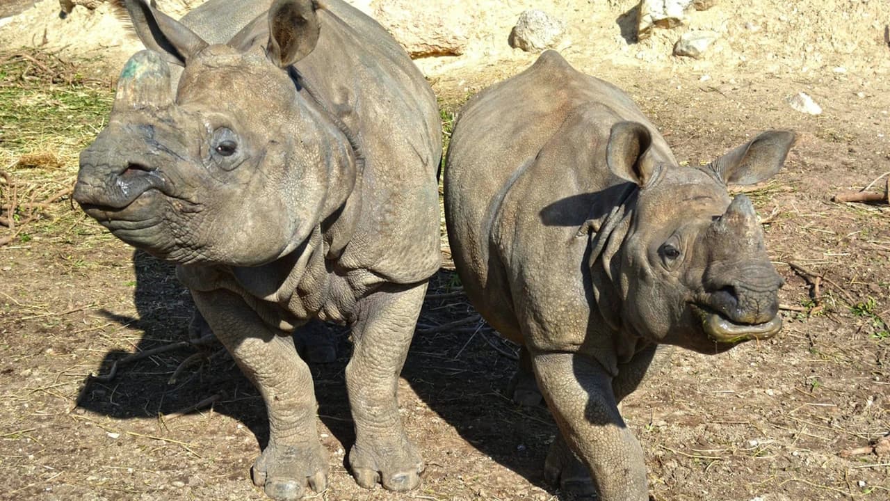 Terra Natura Benidorm: Entry Ticket - Photo 3