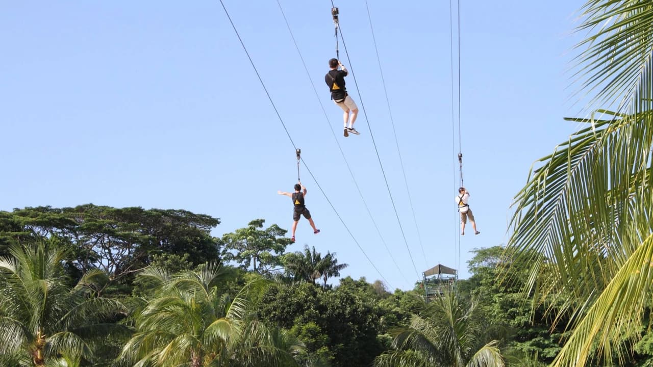 COMBO: Singapore Cable Car + MegaZip at Mega Adventure Park - image 6