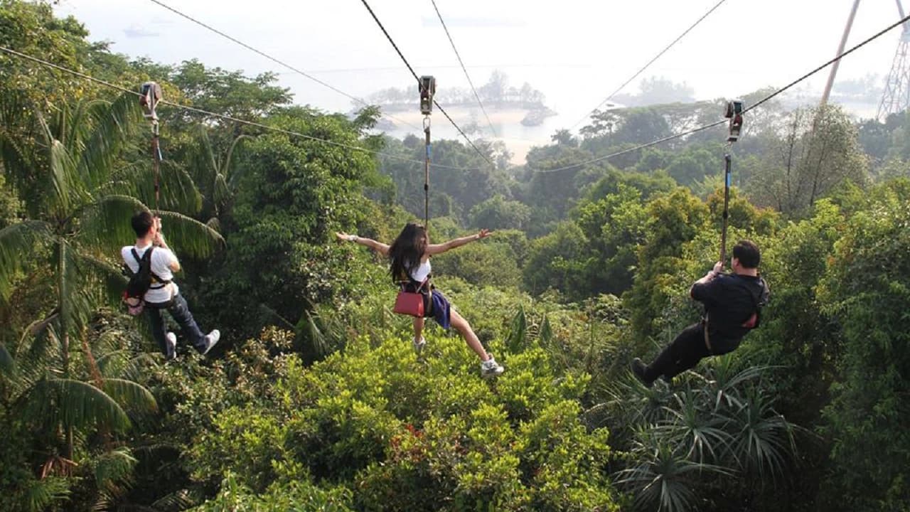 COMBO: Singapore Cable Car + MegaZip at Mega Adventure Park - image 7