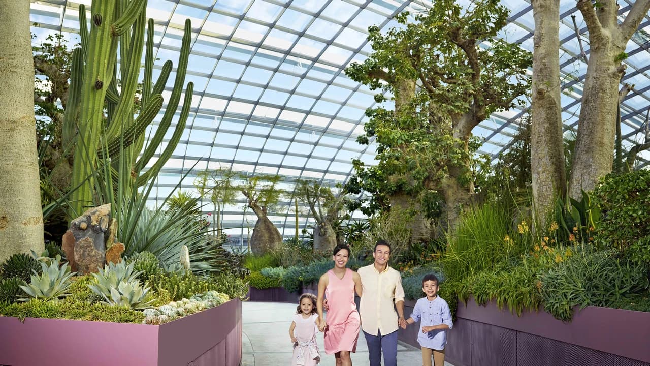 Go City Singapore Essentials Pass: 3 Attractions - Photo 4