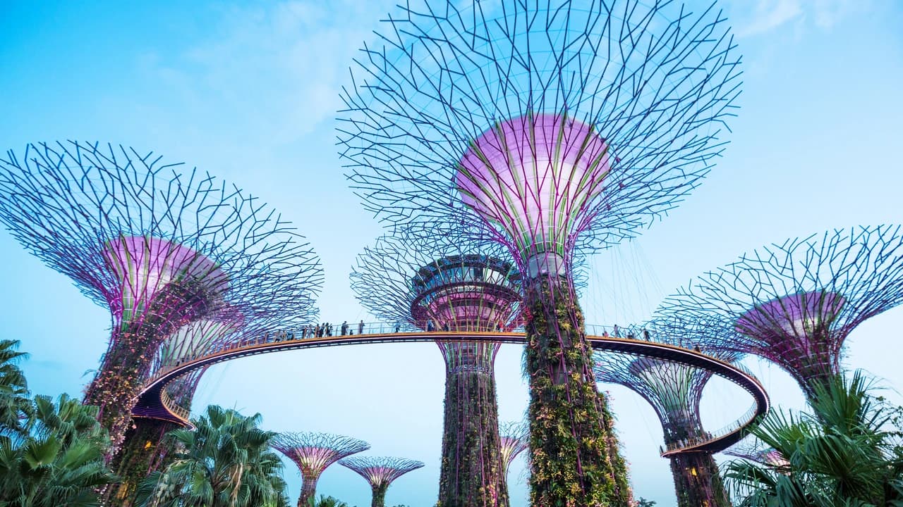 Go City Singapore Essentials Pass: 3 Attractions - Photo 5