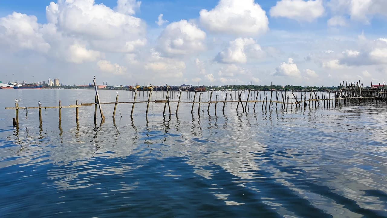Kelong and Pulau Ubin Boat Tour - Photo 4
