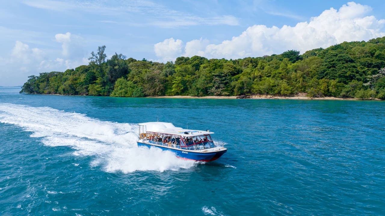 COMBO: Singapore Cable Car + Albatross Hop-On Hop-Off Speedboat Tickets - Photo 1