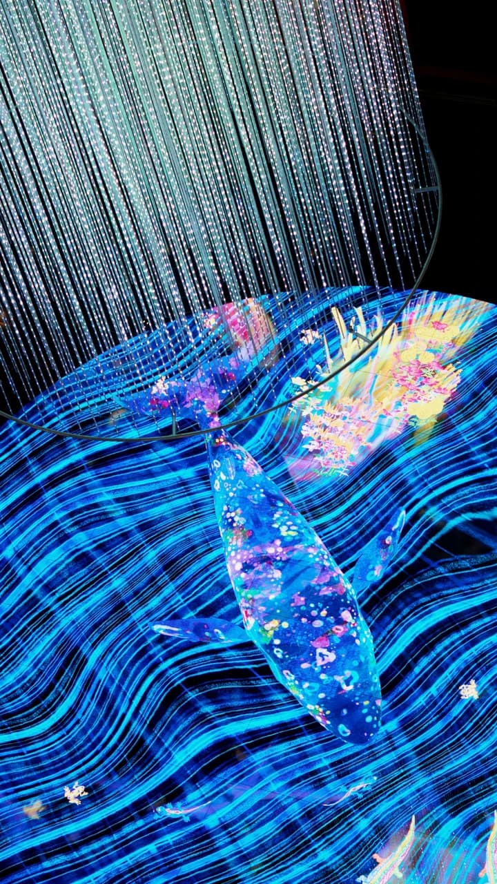 Digital Light Canvas by teamlab Ticket - Photo 1