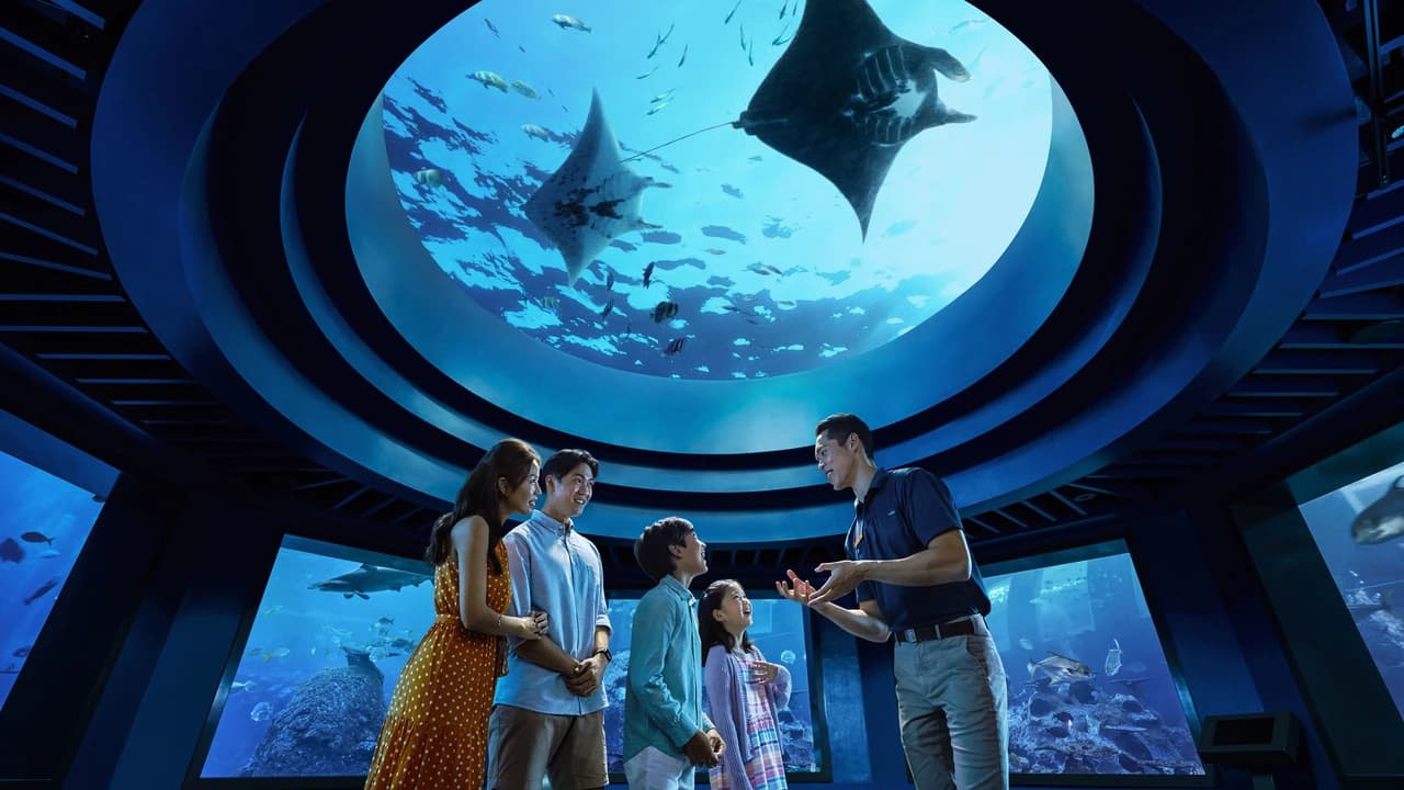 COMBO: Singapore Cable Car + Singapore Oceanarium + Albatross Hop-On Hop-Off Speedboat Tickets - Photo 1