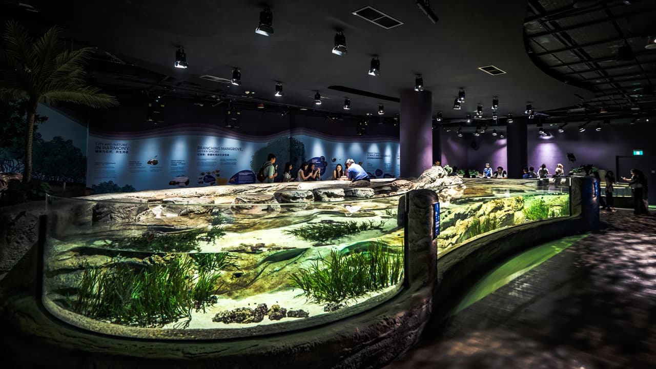 COMBO: Singapore Cable Car + Singapore Oceanarium + Albatross Hop-On Hop-Off Speedboat Tickets - Photo 4