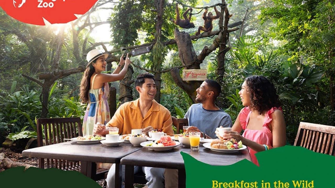COMBO: Singapore Zoo + Breakfast in the Wild - image 8