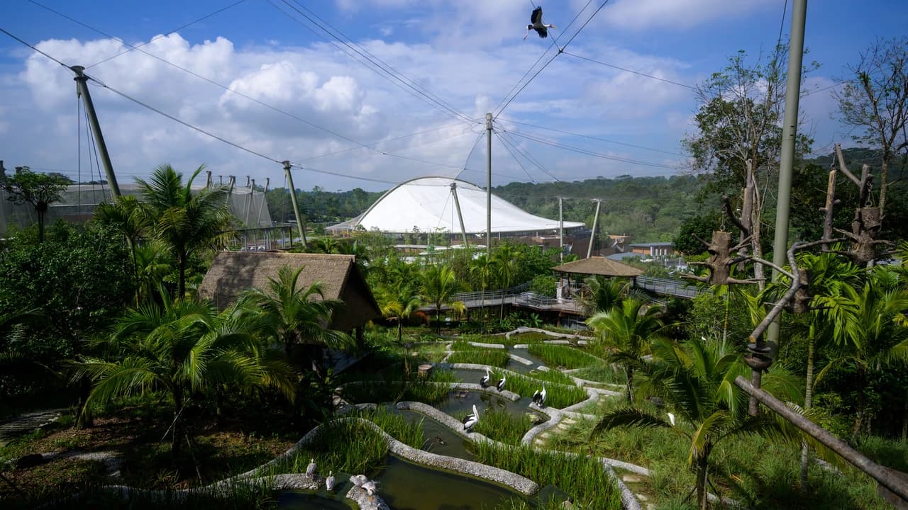 COMBO: River Wonders + Bird Paradise Ticket - Photo 5