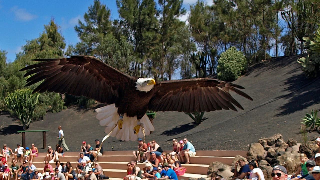 Rancho Texas Lanzarote Park Ticket - image 8