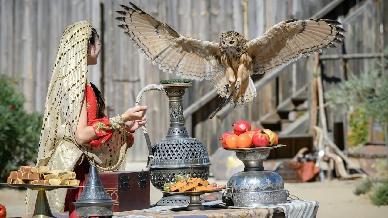 Puy du Fou España Ticket - Photo 5