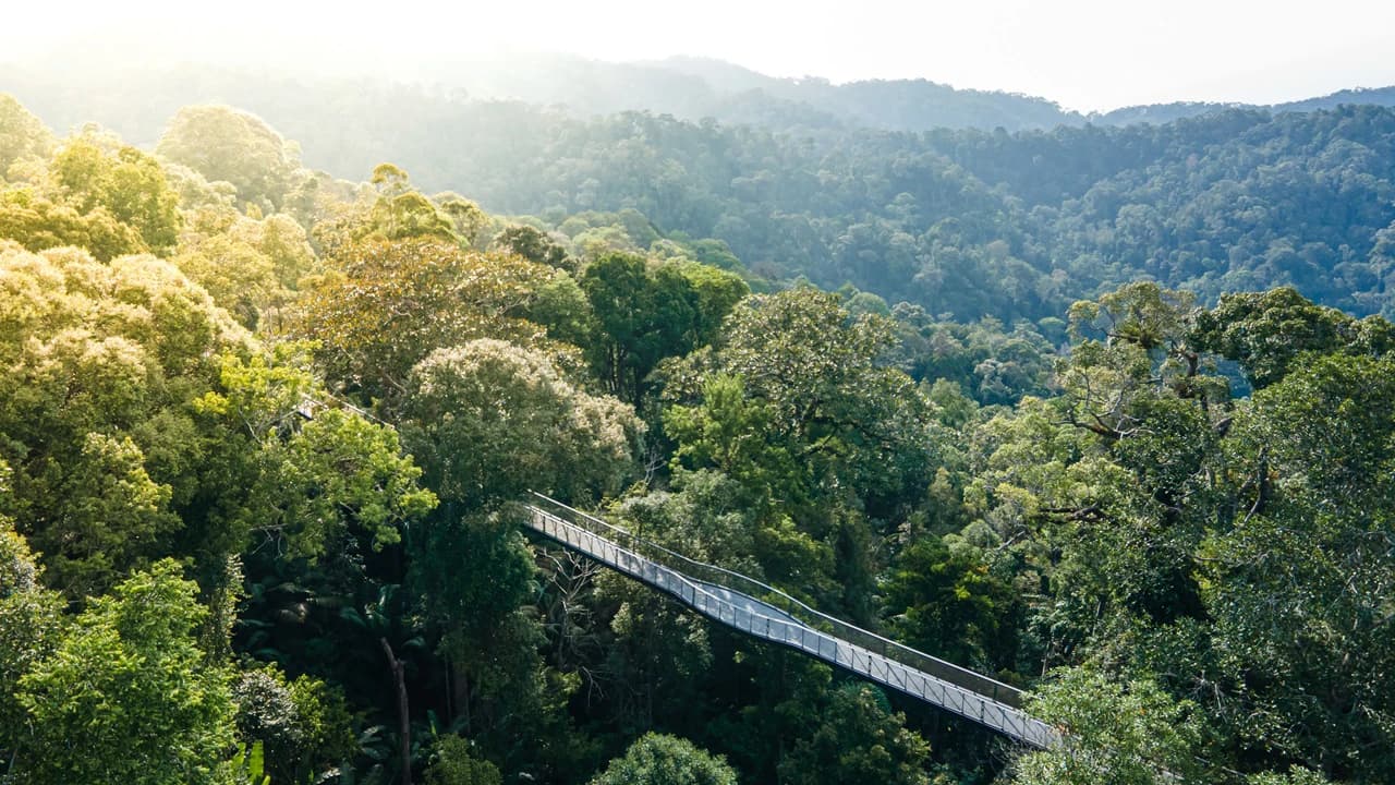 The Habitat Penang Hill Ticket - Photo 2