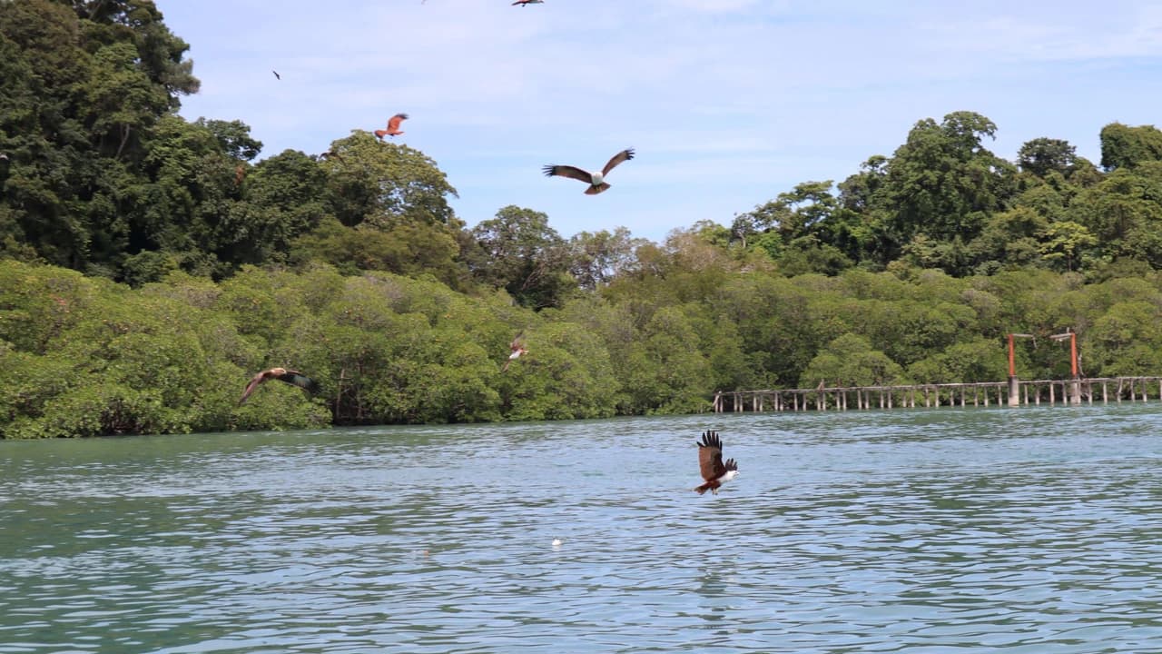 Langkawi Island Hopping Tour by Speedboat - image 8