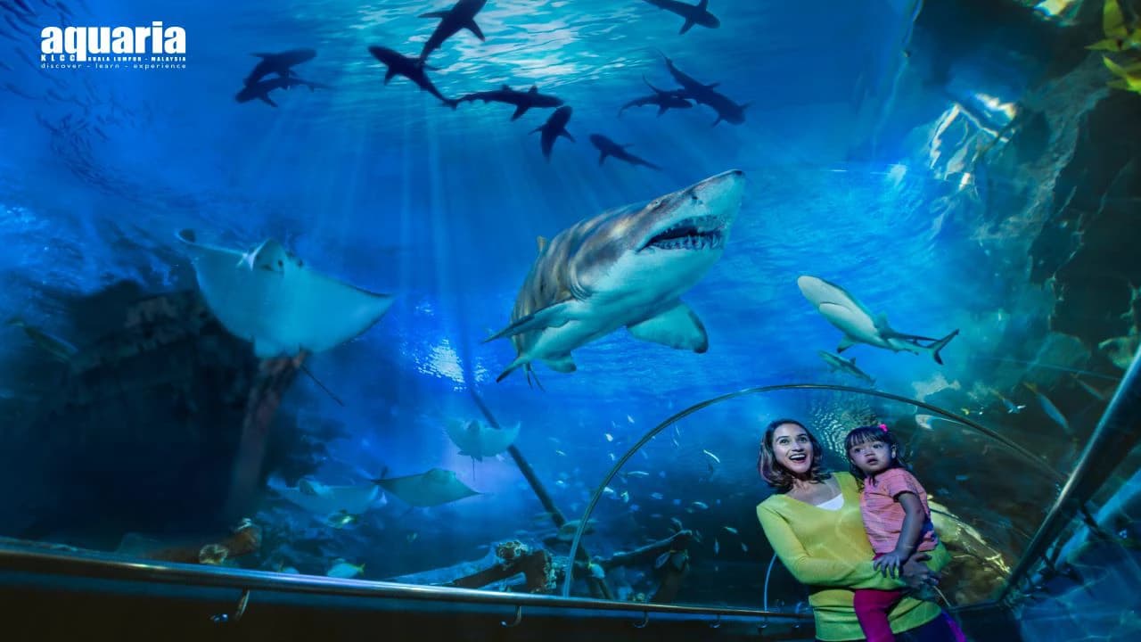 Aquaria KLCC Ticket - Photo 1