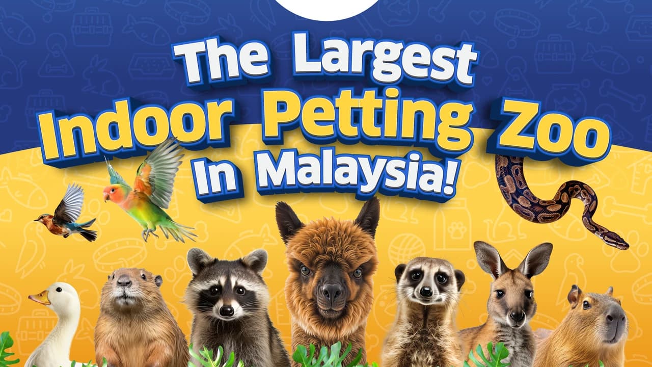Just Farm Indoor Zoo Kuala Lumpur  (Previously Known As Just Pets Megastore) - Photo 1