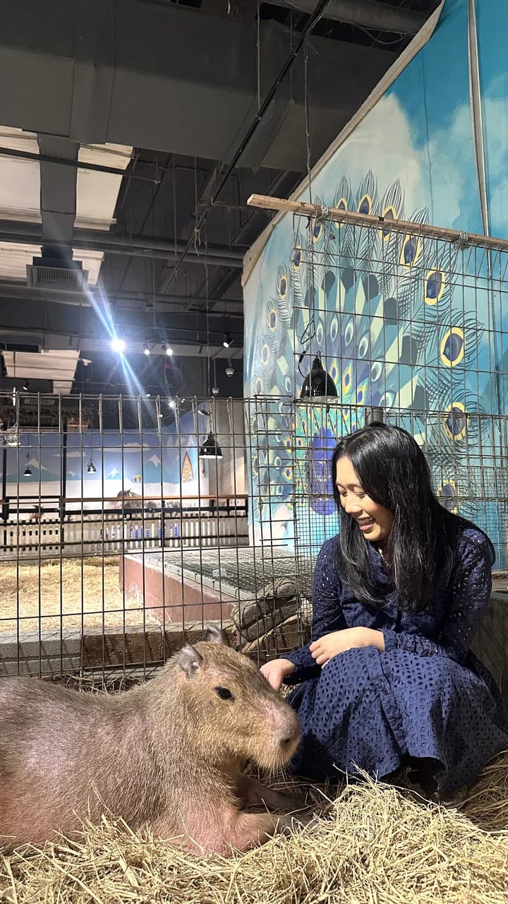 Just Farm Indoor Zoo Kuala Lumpur  (Previously Known As Just Pets Megastore) - Photo 3