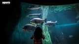 COMBO: Aquaria KLCC + Berjaya Times Square Theme Park Tickets - image 7