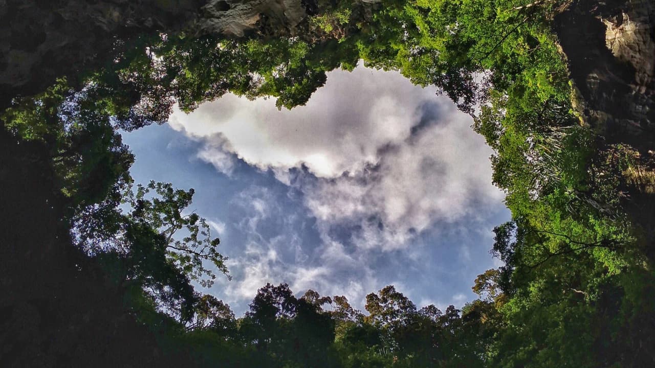 Batu Caves and Kuala Lumpur Countryside Tour - image 7