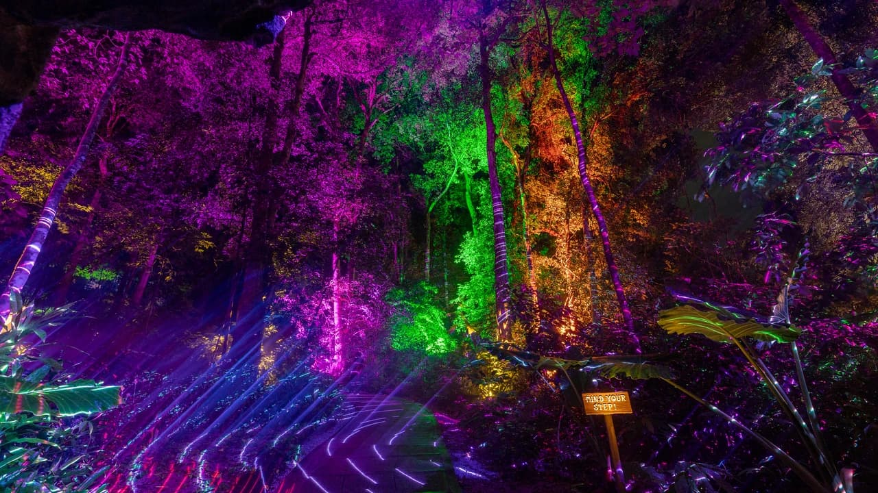 Dream Forest Langkawi - Photo 2