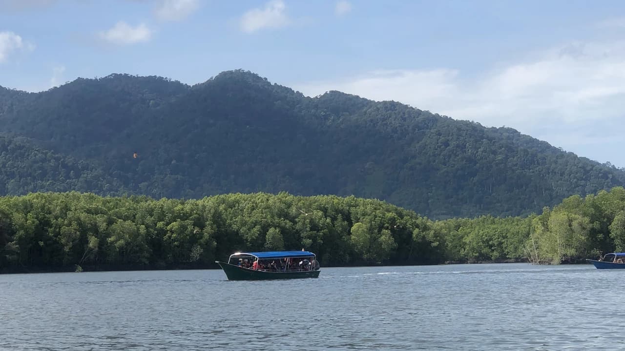 Langkawi UNESCO Global Geopark Mangrove Cruise - Photo 1