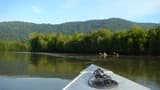 Langkawi Mangrove River Cruise and Snorkeling - image 8