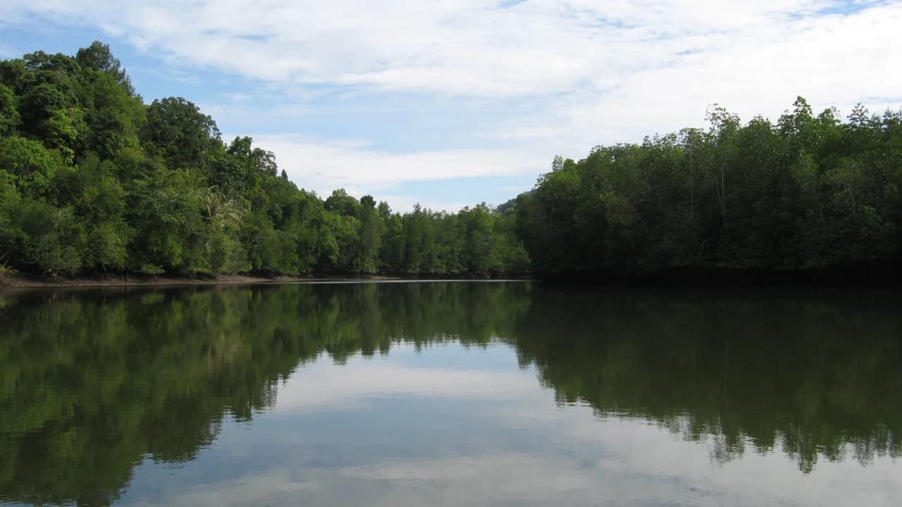 Langkawi Adventure and Swimming - Photo 2