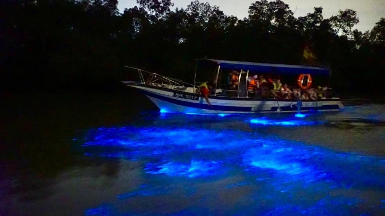 Blue Tears Boat Cruise in Kuala Selangor - Photo 1